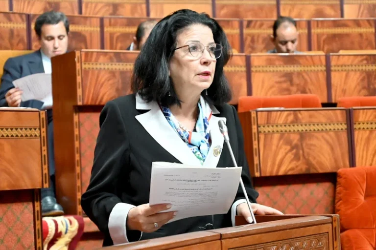 السغروشني تكشف حصيلة “المغرب الرقمي 2030” داخل مجلس النواب