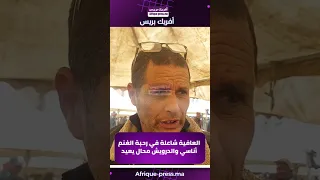 بنسعيد: معرض المغرب لصناعة الألعاب الإلكترونية يضطلع بدور محوري في تعزيز وترسيخ مفهوم صناعة الألعاب الإلكترونية