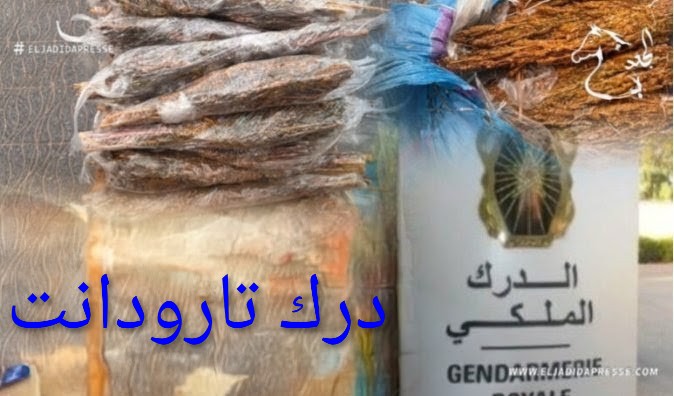 الدرك الملكي بتارودانت يحجز كميات مهمة من الكيف وطابا بوادي سوس ويباشر أبحاثه لتوقيف المشتبه فيهم